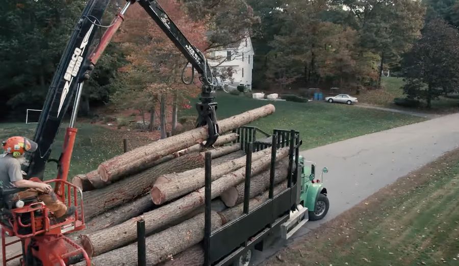 Land clearing crew removing trees in Franklin Park PA