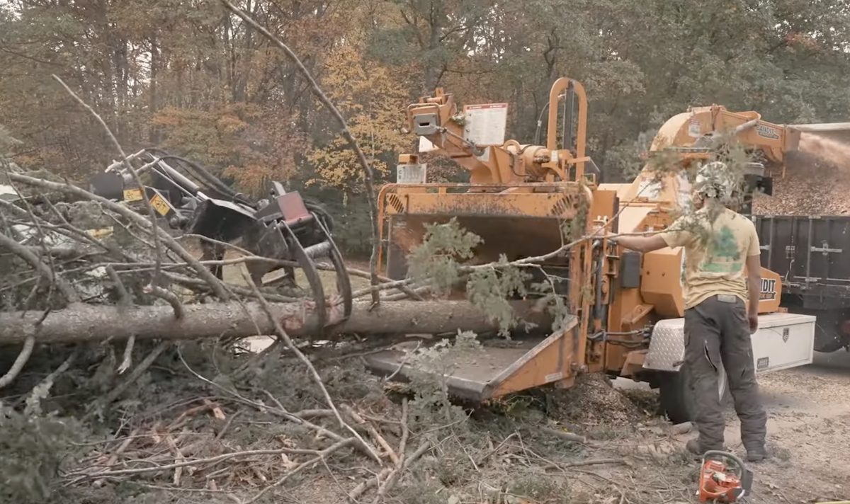 Tree service crew working in Franklin Park PA